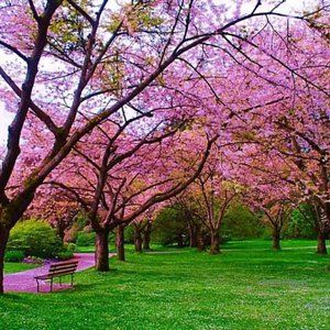 Meet your Posher, Juliette